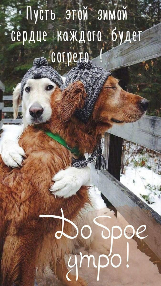 Пусть этой зимой сердце каждого будет согрето!
Доброе утро!
