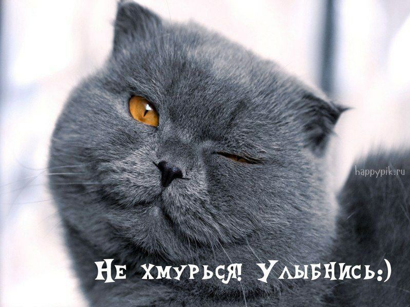 Не хмурься! Улыбнись :)