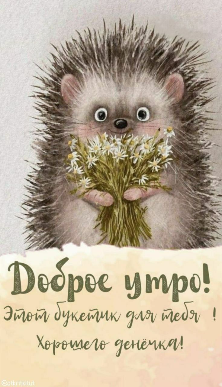 Доброе утро! Этот букетик для тебя! Хорошего денёчка!