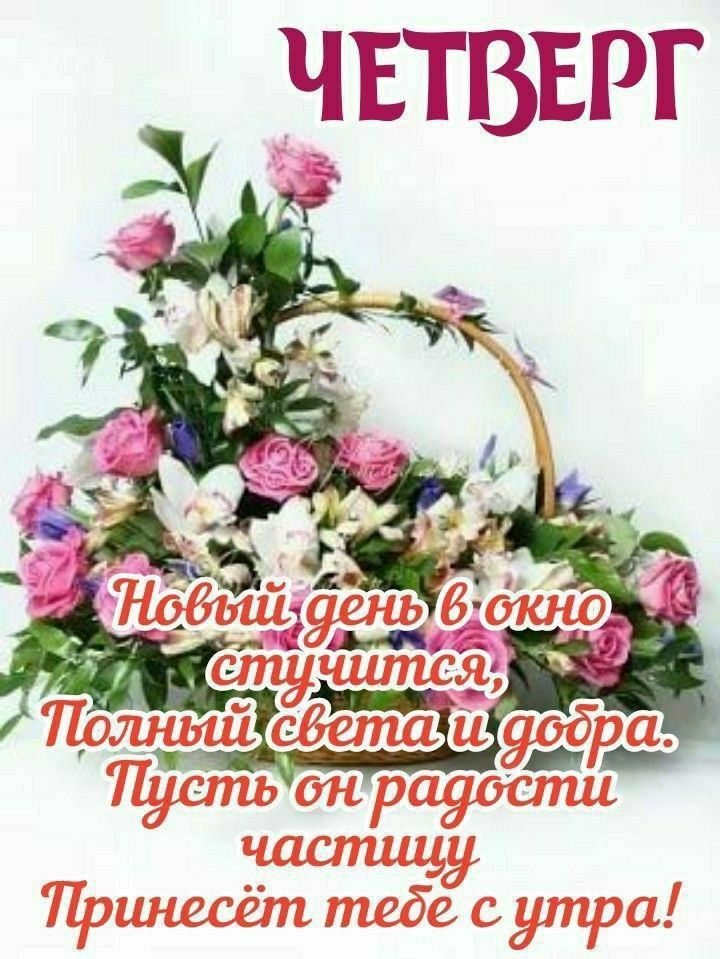 ЧЕТВЕРГ Новый день в окно стучится, Полный света и добра. Пусть он радости частицу Принёсёт тебе с утра!