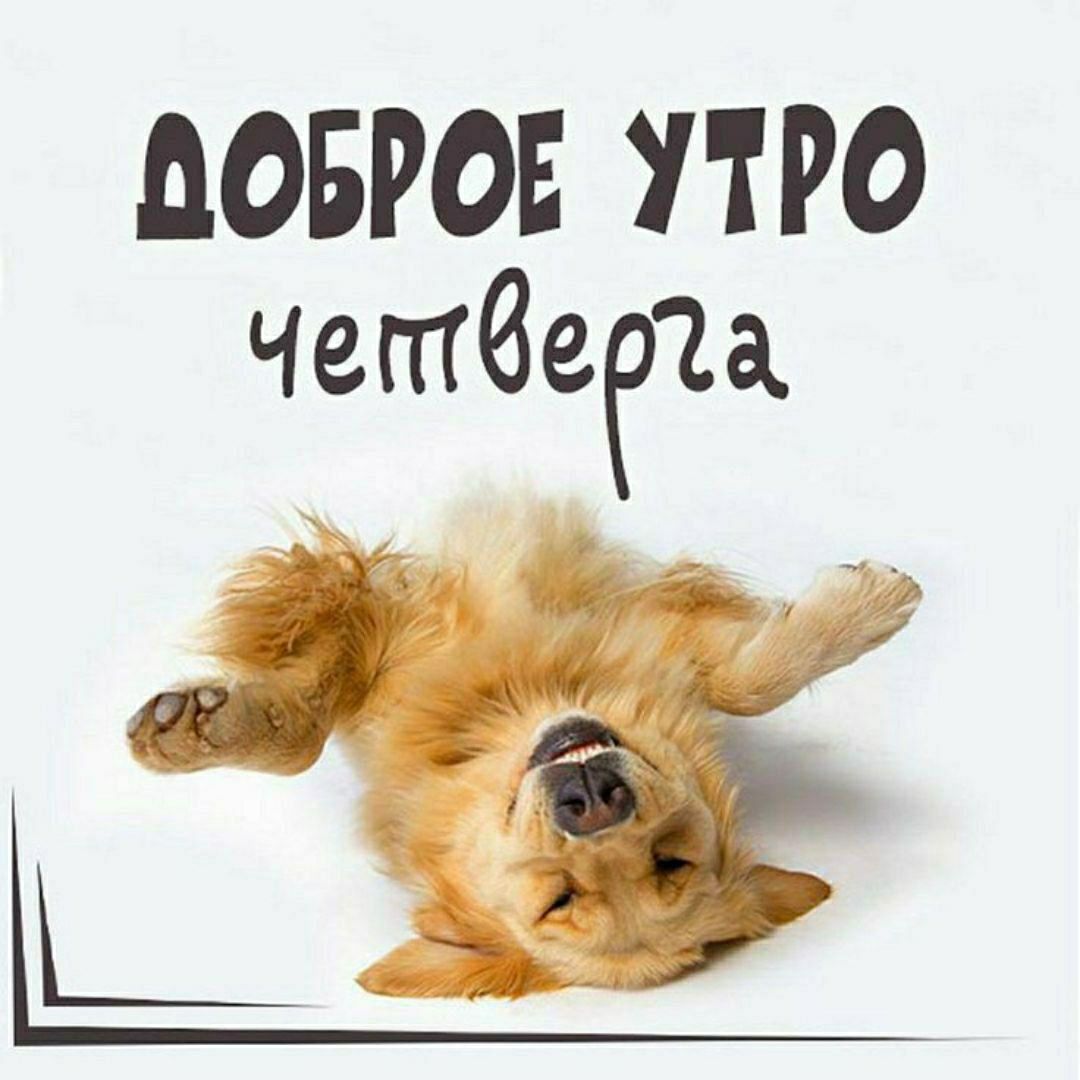 Доброе утро четверга