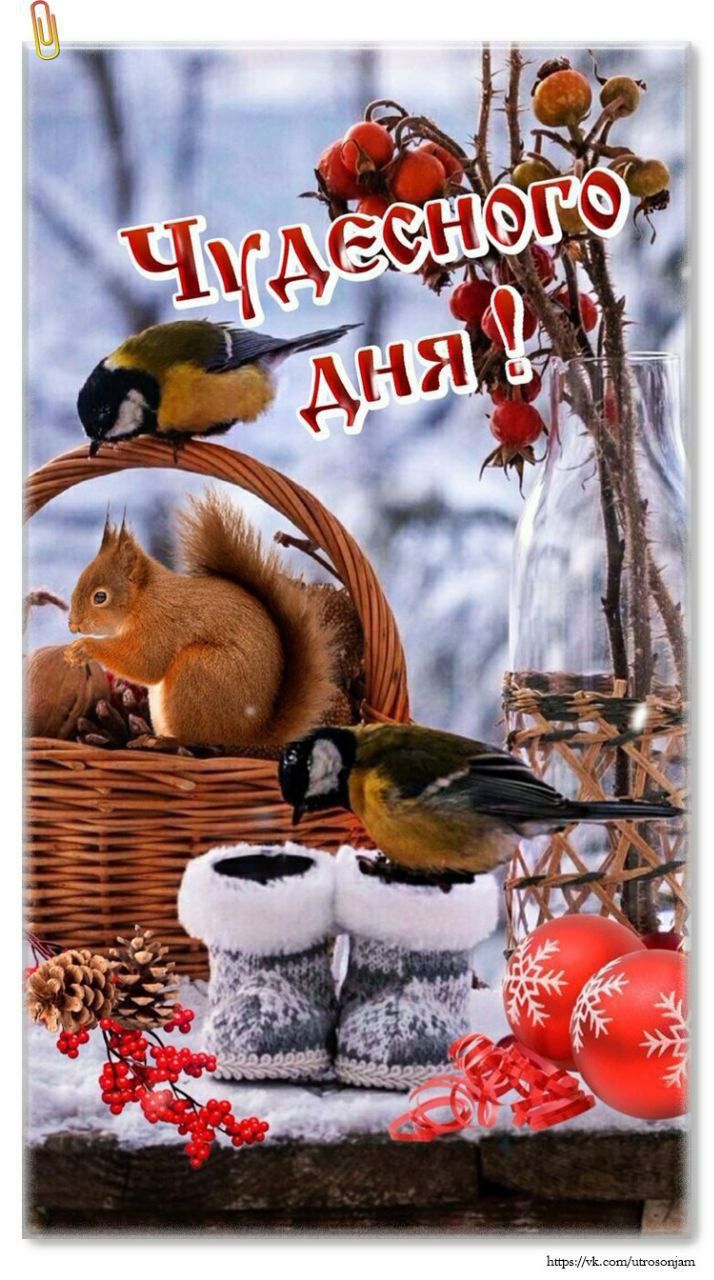 Чудесного дня!