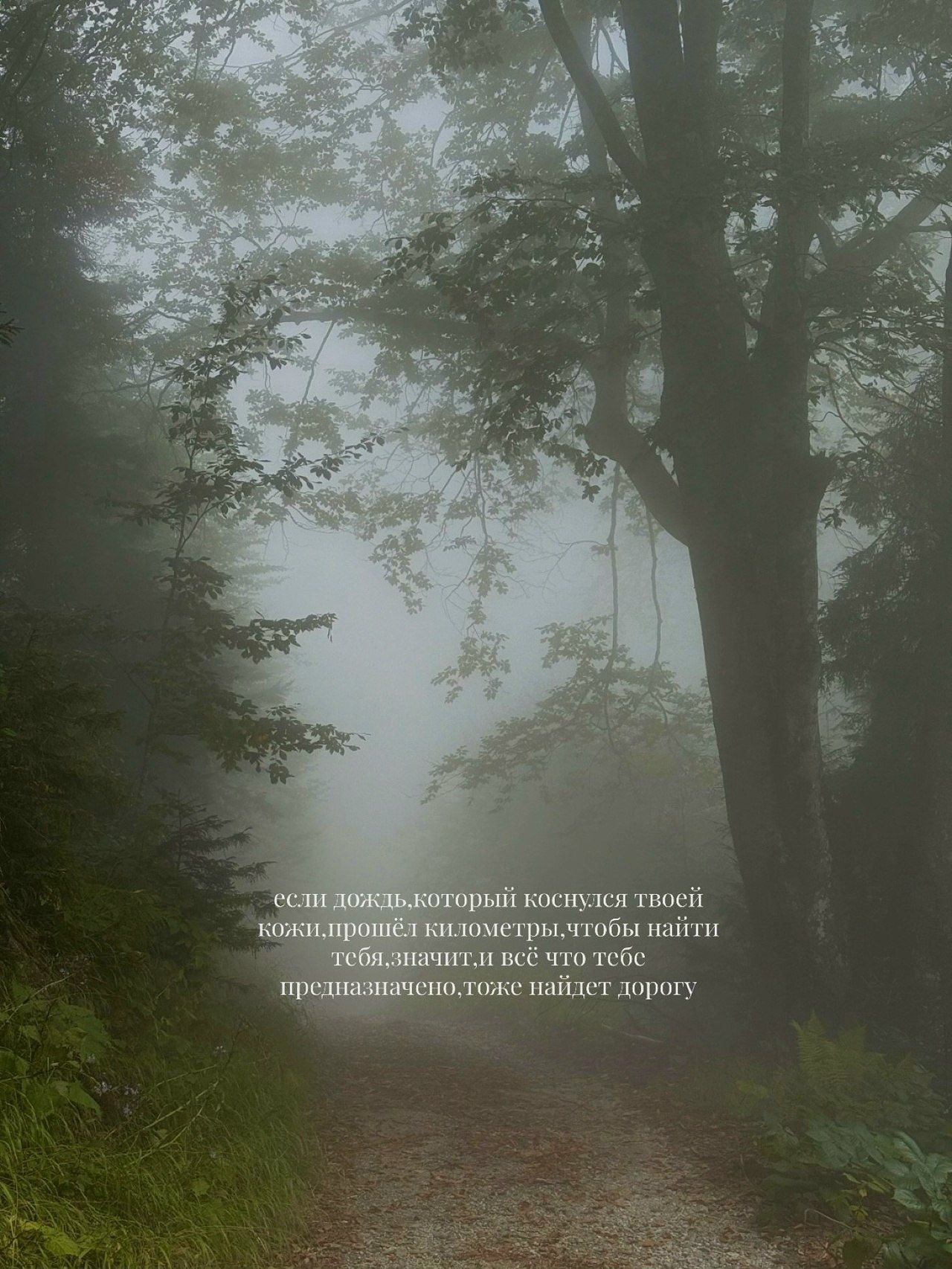 если джод, который коснулся твоей кожи, пройдёт километр, чтобы найти тебя, значит всё предназначено, даже найдёт дорогу