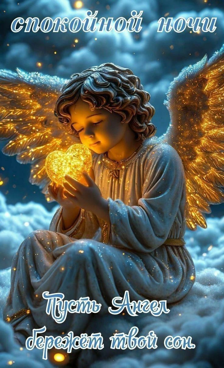 спокойной ночи
Пусть Ангел бережёт твой сон.