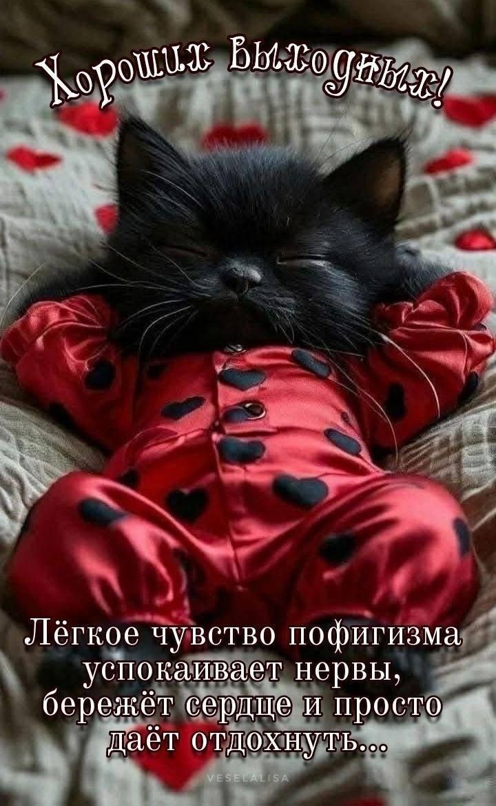 Хороший вечерний! Лёгкое чувство пофигизма успокаивает нервы, бережёт сердце и просто даёт отдохнуть...