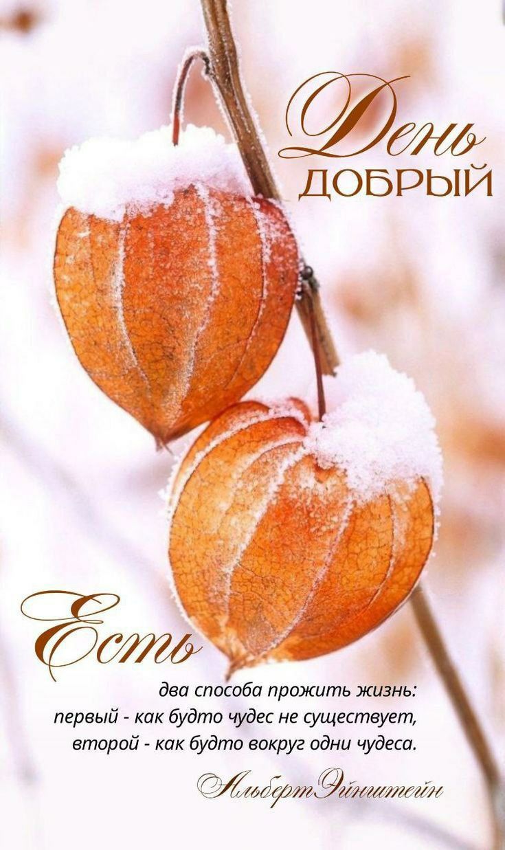 День Добрый
Есть два способа прожить жизнь: первый - как будто чудес не существует, второй - как будто вокруг одни чудеса.
Альберт Эйнштейн