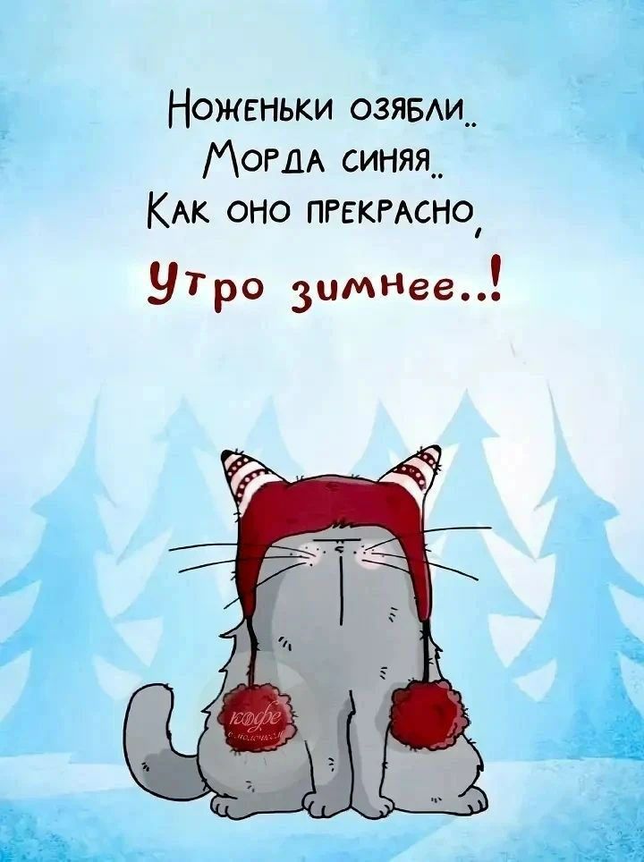 Ноженьки озябли.. Морда синяя.. Как оно прекрасно, Утро зимнее..!