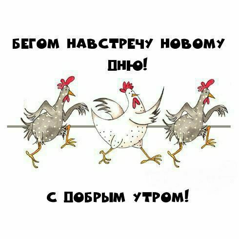 Бегом навстречу новому дню! С добрым утром!