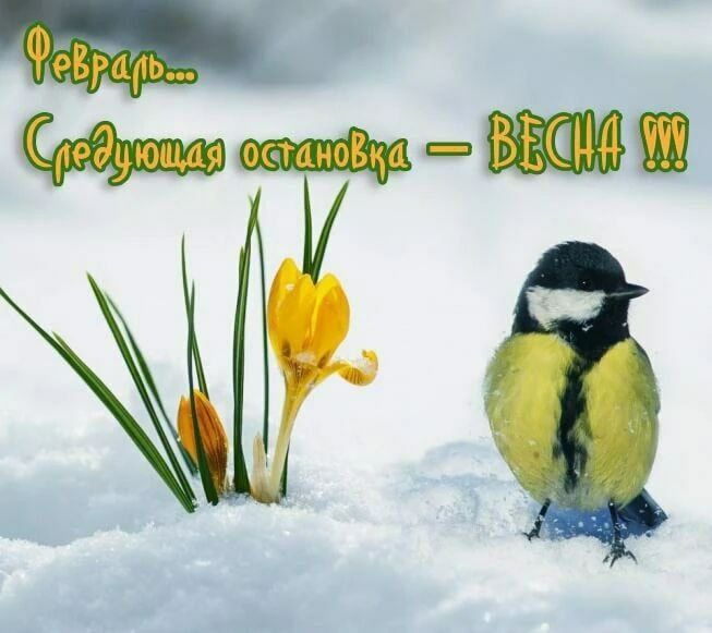 Февраль... Следующая остановка — ВЕСНА !!!