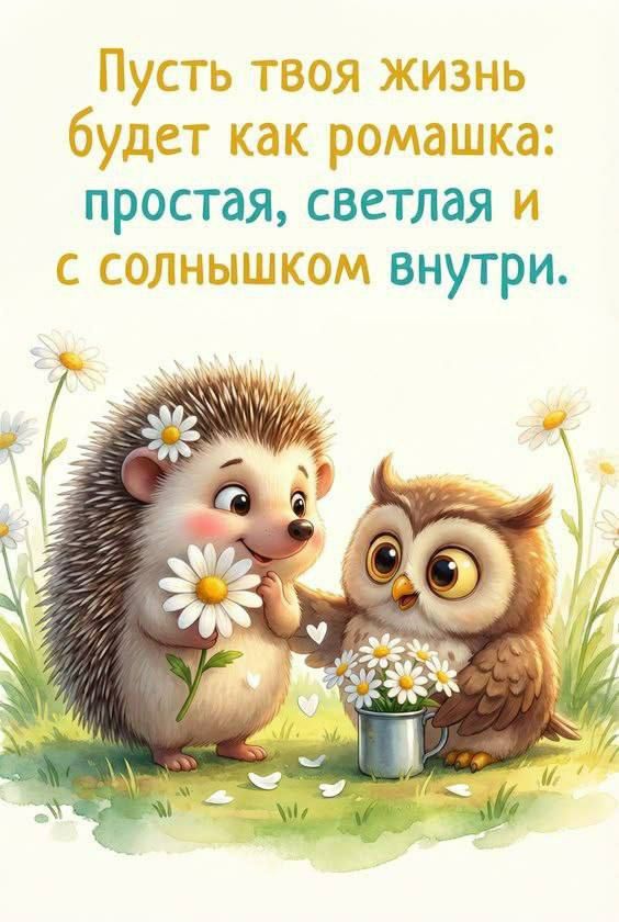 Пусть твоя жизнь будет как ромашка: простая, светлая и с солнышком внутри.