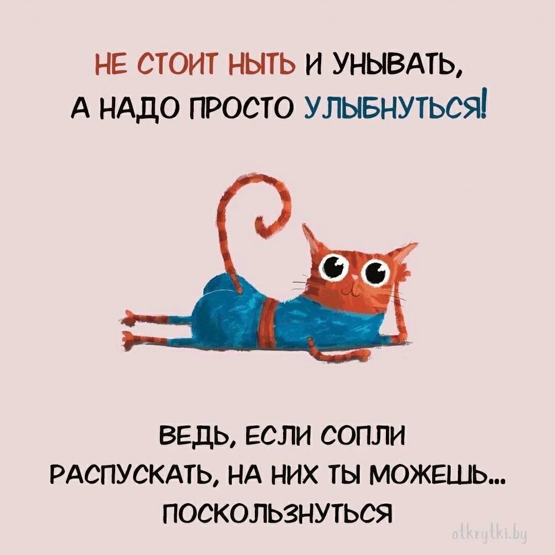 НЕ СТОИТ НЫТЬ И УНЫВАТЬ, А НАДО ПРОСТО УЛЫБНУТЬСЯ! ВЕДЬ, ЕСЛИ СОПЛИ РАСПУСКАТЬ, НА НИХ ТЫ МОЖЕШЬ... ПОСКОЛЬЗНУТЬСЯ