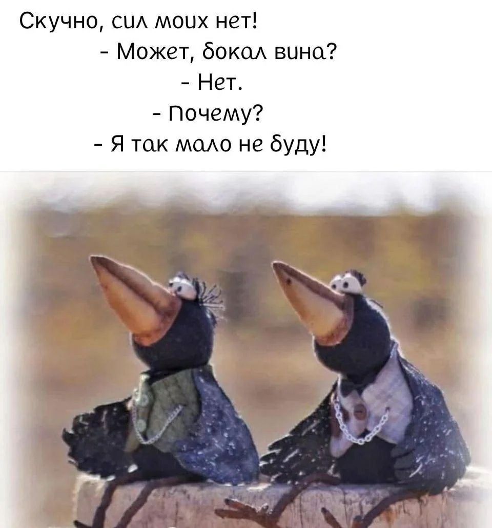 Скучно, сил моих нет!
- Может, бокал вина?
- Нет.
- Почему?
- Я так мало не буду!