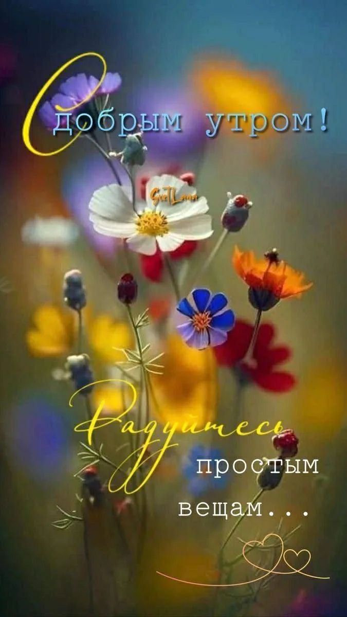 С добрым утром! Радуйтесь простым вещам...