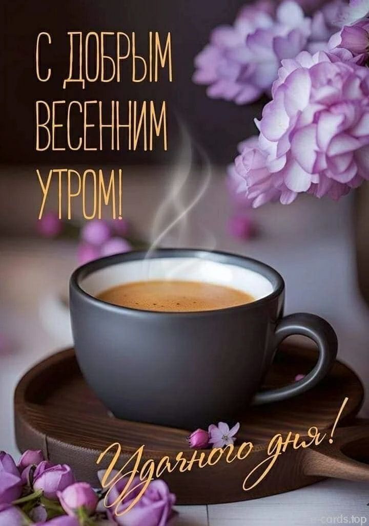 С ДОБРЫМ ВЕСЕННИМ УТРОМ! Удачного дня!
