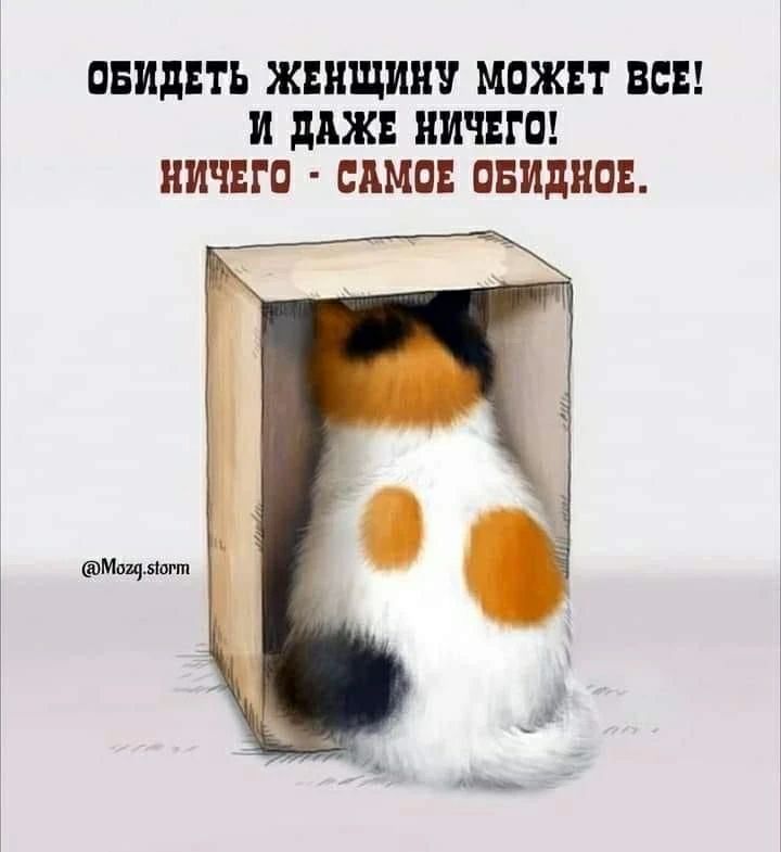 ОБИДЕТЬ ЖЕНЩИНУ МОЖЕТ ВСЕ! И ДАЖЕ НИЧЕГО! НИЧЕГО - САМОЕ ОБИДНОЕ.