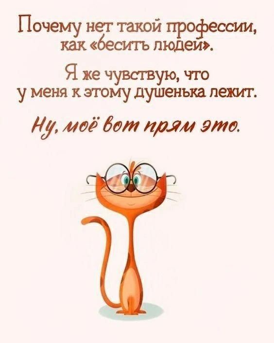 Почему нет такой профессии, как «бесить людей». Я же чувствую, что у меня к этому душенька лежит. Ну, моё вот прям это.