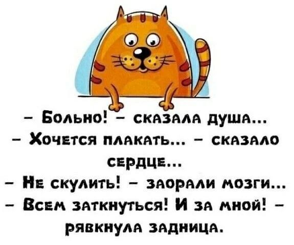 - Больно! - сказала душа...
- Хочется плакать... - сказало сердце...
- Не скулить! - заорали мозги...
- Всем заткнуться! И за мной! - рявкнула задница.