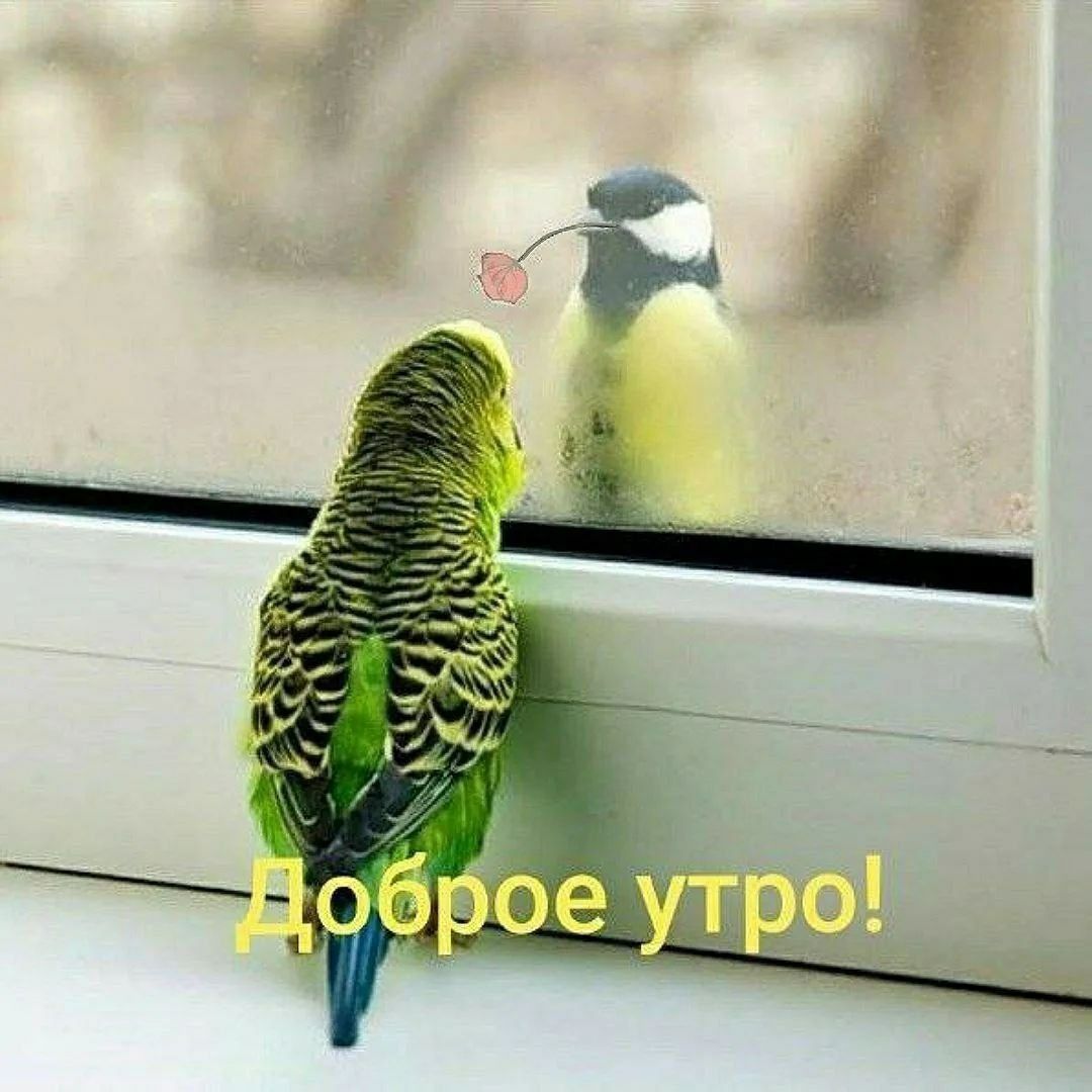 Доброе утро!