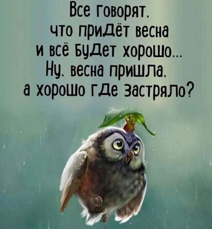 Все говорят, что придёт весна и всё будет хорошо... Ну, весна пришла, а хорошо где застряло?