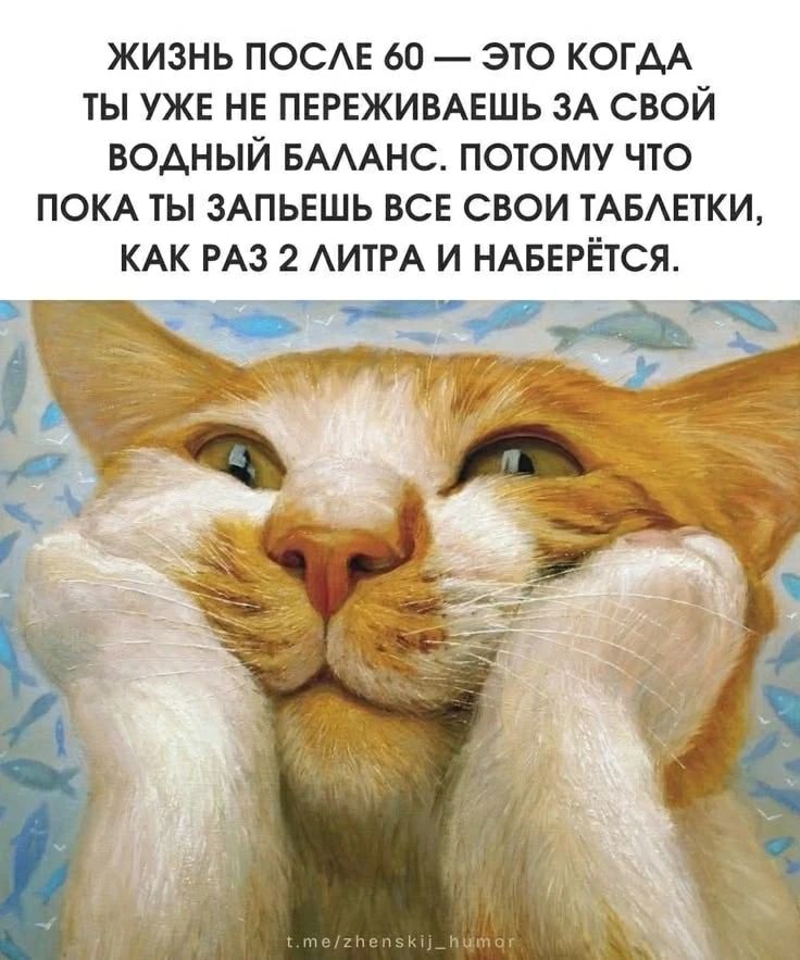 ЖИЗНЬ ПОСЛЕ 60 — ЭТО КОГДА ТЫ УЖЕ НЕ ПЕРЕЖИВАЕШЬ ЗА СВОЙ ВОДНЫЙ БАЛАНС. ПОТОМУ ЧТО ПОКА ТЫ ЗАПЬЕШЬ ВСЕ СВОИ ТАБЛЕТКИ, КАК РАЗ 2 ЛИТРА И НАБЕРЁТСЯ.