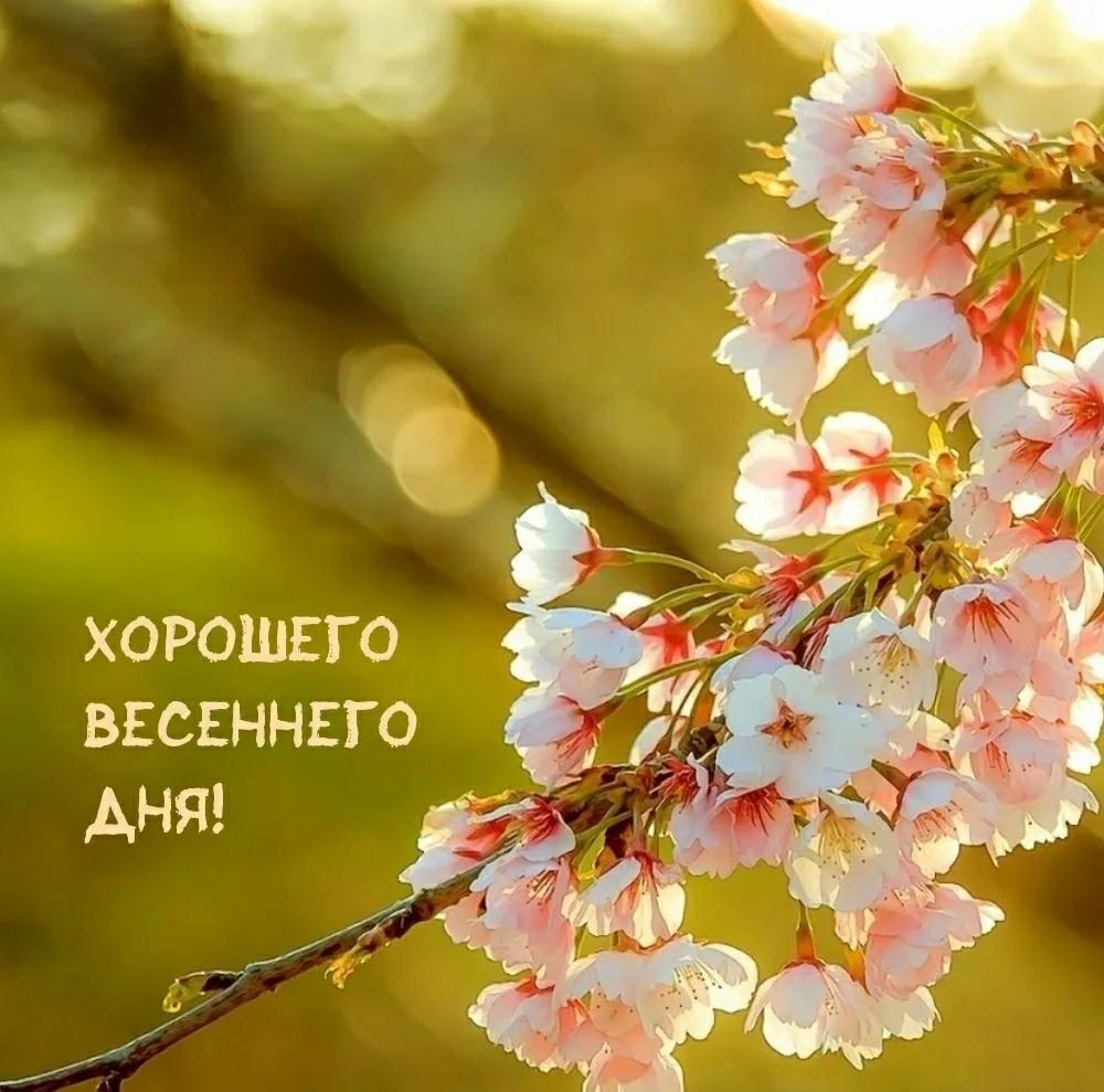 ХОРОШЕГО ВЕСЕННЕГО ДНЯ!