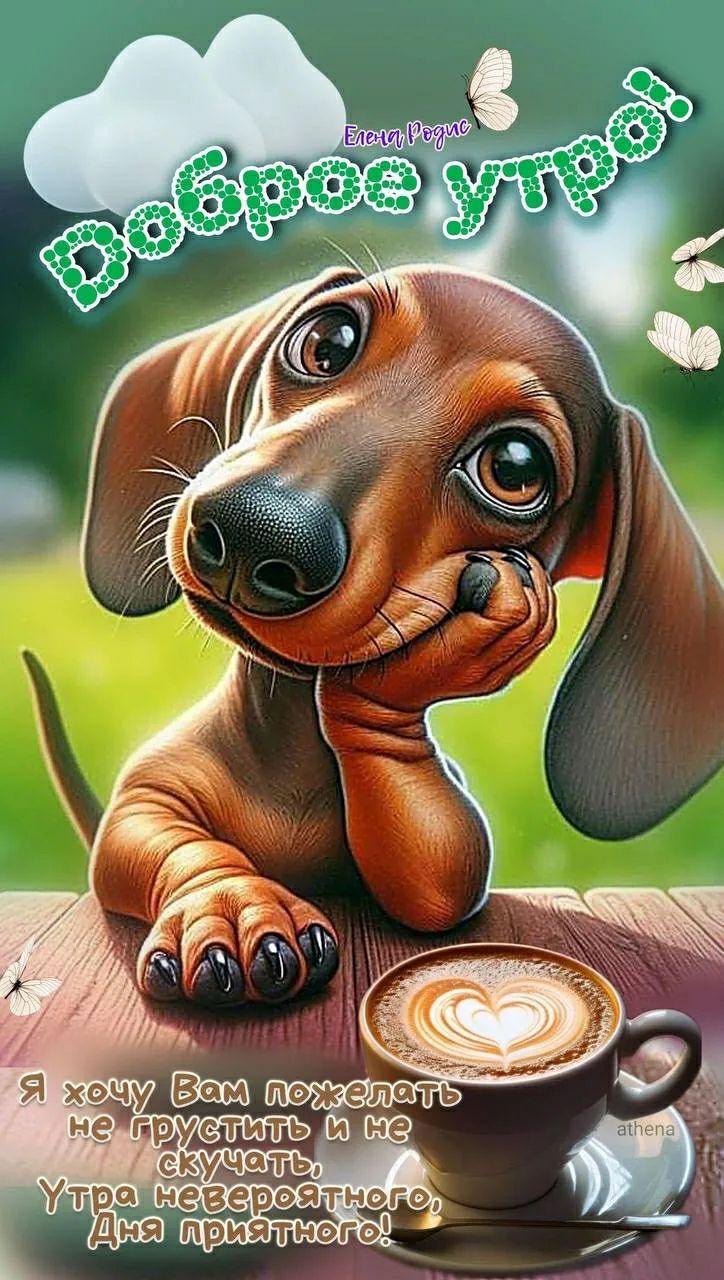 Доброе утро! Елена Родис. Я хочу Вам пожелать не грустить и не скучать, Утра невероятного, Дня приятного! athena
