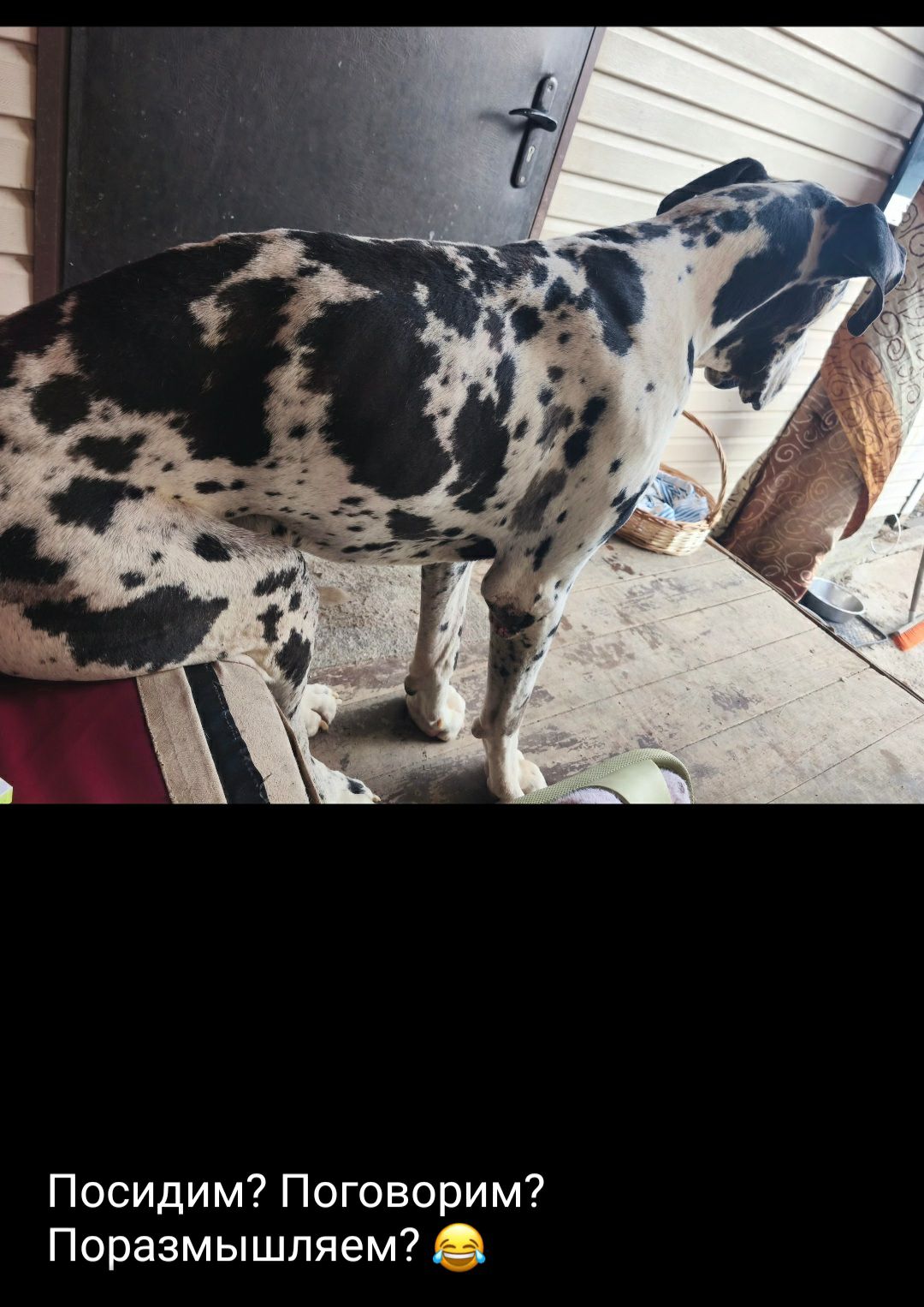 Посидим? Поговорим? Поразмышляем? 😂