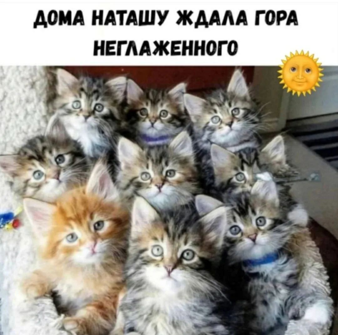 ДОМА НАТАШУ ЖДАЛА ГОРА НЕГЛАЖЕННОГО