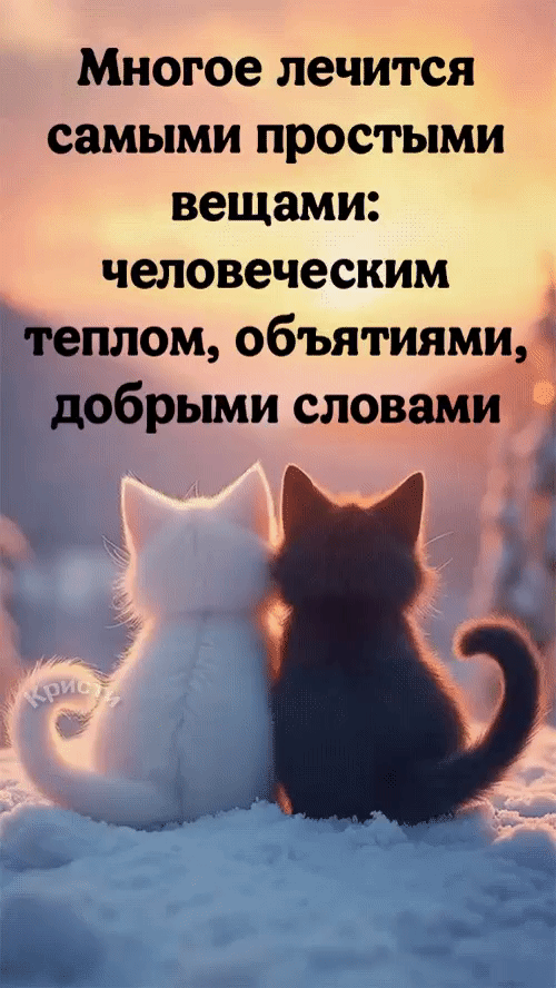 Многое лечится самыми простыми вещами: человеческим теплом, объятиями, добрыми словами