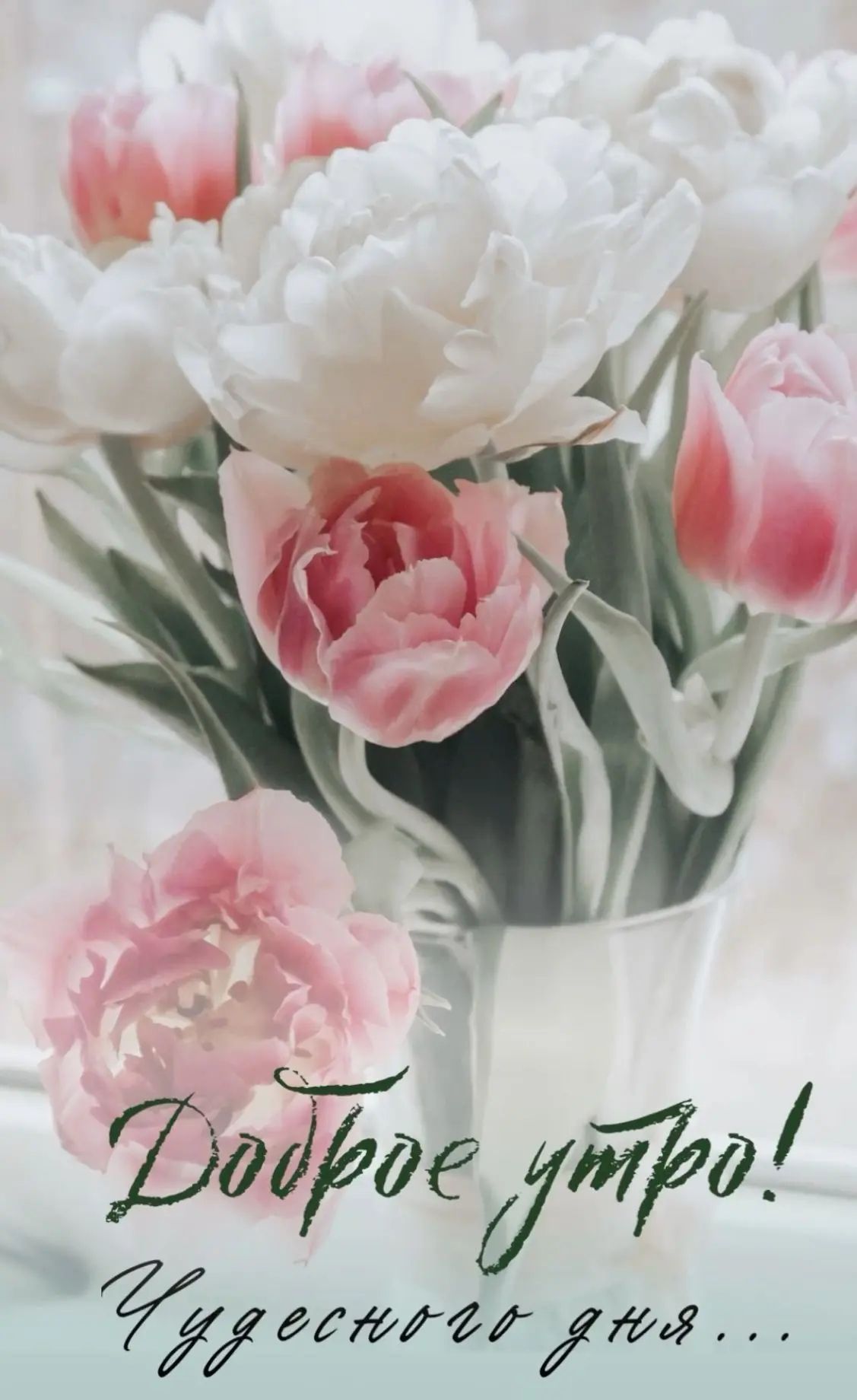 Доброе утро! Чудесного дня...