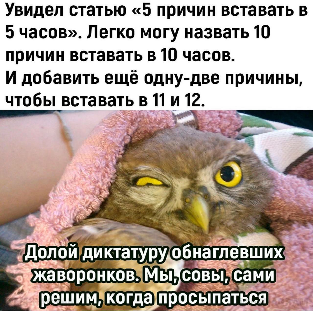 Увидел статью «5 причин вставать в 5 часов». Легко могу назвать 10 причин вставать в 10 часов. И добавить ещё одну-две причины, чтобы вставать в 11 и 12. Долой диктатуру обнаглевших жаворонков. Мы, совы, сами решим, когда просыпаться