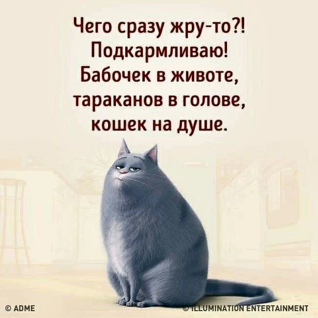 Чего сразу жру-то?! Подкармливаю! Бабочек в животе, тараканов в голове, кошек на душе.