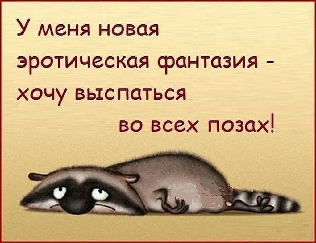 У меня новая эротическая фантазия - хочу выспаться во всех позах!