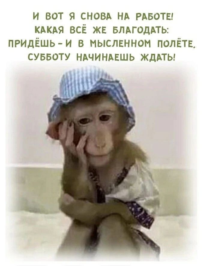 И ВОТ Я СНОВА НА РАБОТЕ! КАКАЯ ВСЁ ЖЕ БЛАГОДАТЬ: ПРИДЁШЬ - И В МЫСЛЕННОМ ПОЛЁТЕ, СУББОТУ НАЧИНАЕШЬ ЖДАТЬ!