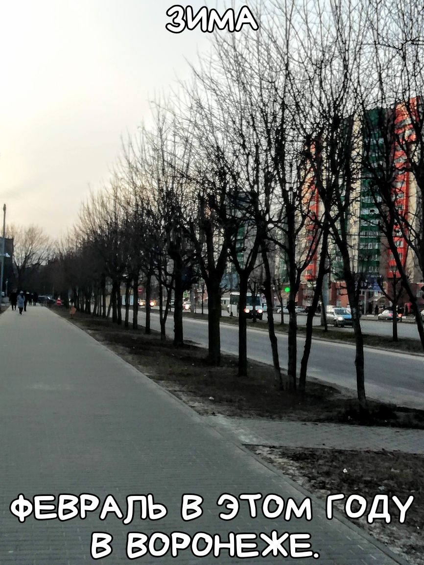 ФЕВРАЛЬ в этом гиду в воронеже
