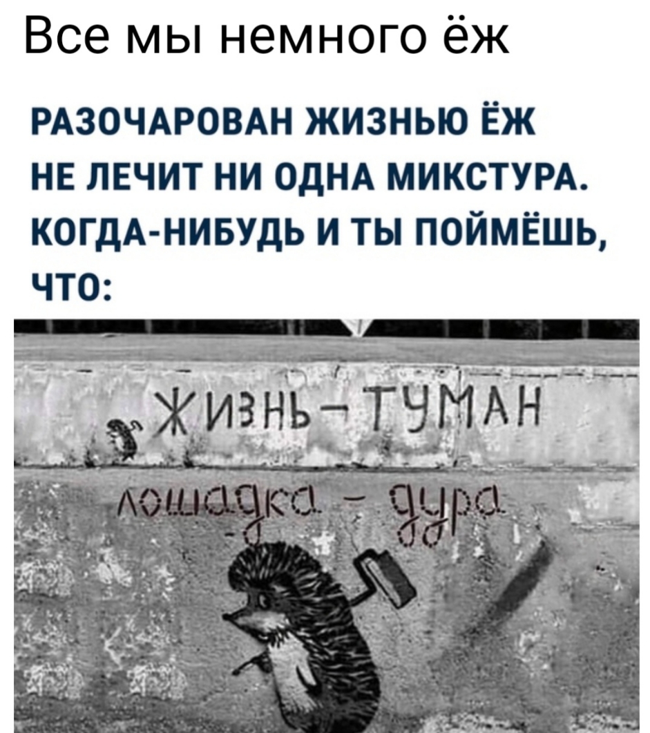 Все мы немного ёж РАЗОЧАРОВАН жизнью Ёж НЕ ЛЕЧИТ ни ОДНА МИКСТУРА КОГДА НИБУДЬ и ты поймёшь ЧТО
