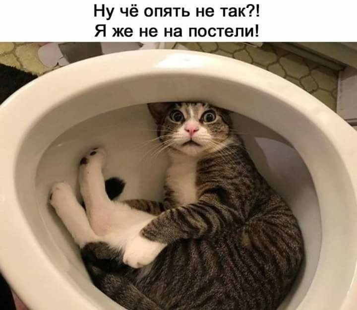 Ну чё опять не так Я же не на постели