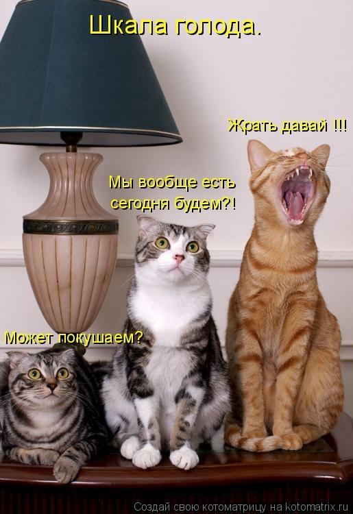 ЛЕ ГОЛОГЧ гп Жрать давай Мы и