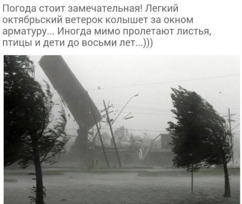 П года стоит замечательная Легкий октябрьский ветерок колышет за окном арматуру Иногда мимо пролетают листья птицы и дети до восьми лет