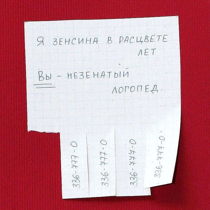 Логопед картинки прикольные. Логопед прикол. Шутки про логопеда. Юмор про логопеда. Прикольные брачные объявления.