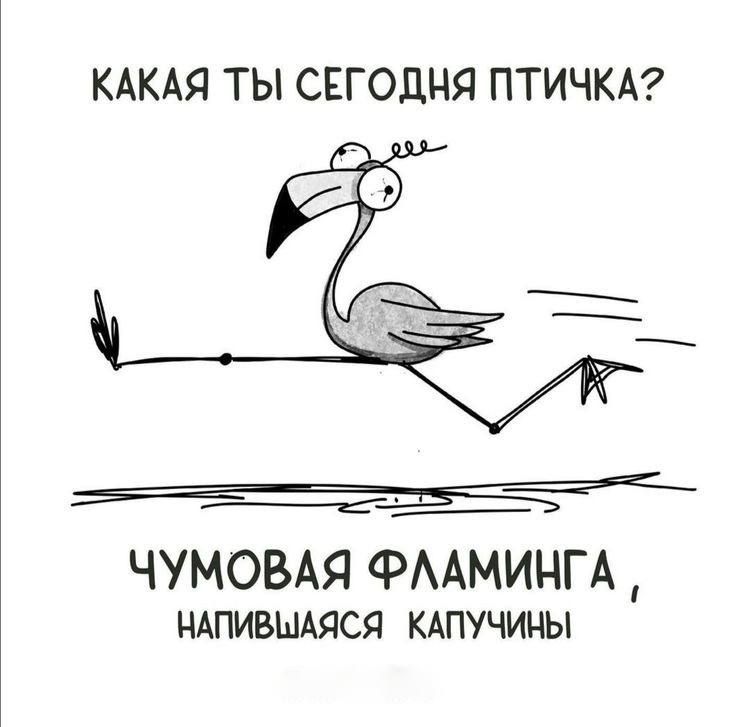 КАКАЯ ТЫ СЕГОДНЯ ПТИЧКА ЧУМОВАЯ ФААМИНГА ндпивымпся КАПУЧИНЫ