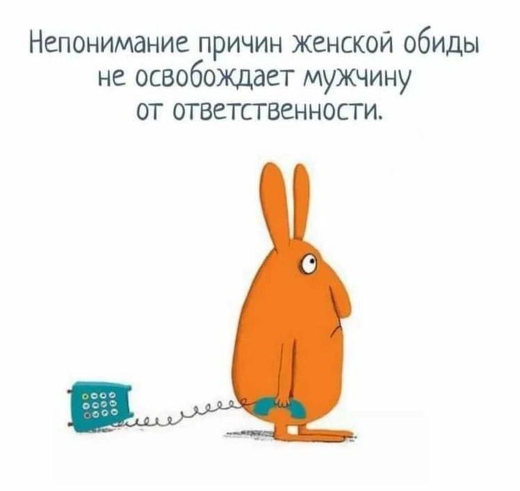 Непонимание ПРИЧИН женской обиды не освобождает мужчину от ответственности