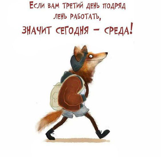 Если вм третий день подряд лень мвоить зимчит сегодня срам