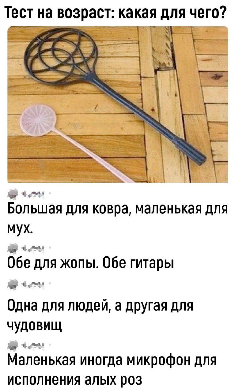 Тест на возраст какая дЛЯ ЧЕГО Большая для ковра маленькая для мух 666 для жопы Обе гитары Одна для людей а ЦРУгая для чудовищ _ Маленькая иногда микрофон для исполнения алых роз