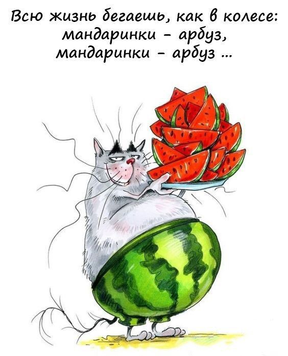 Всю жизнь бегаешь как 6 колесе мандаринки арбуз мандарцнки арбуз