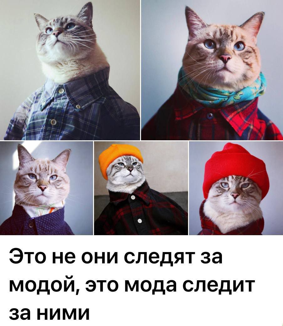 Это не они следят за модой это мода следит за ними