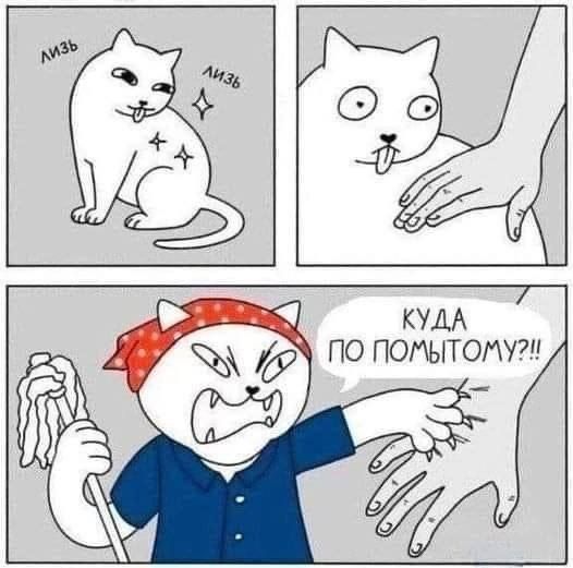 _ КУДА ПО ПОМЫТОМУ