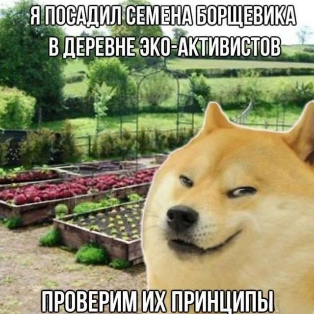 П МШШЁШШШШ