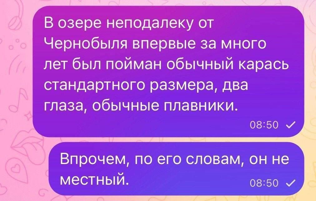 Ёурзере Неподалеку от Чернобыля впервые за много лет был пойман обычный карась стандартного размера два глаза обычные ПЛЭБНИКИ Впрочем по ЭГО словам он не местный