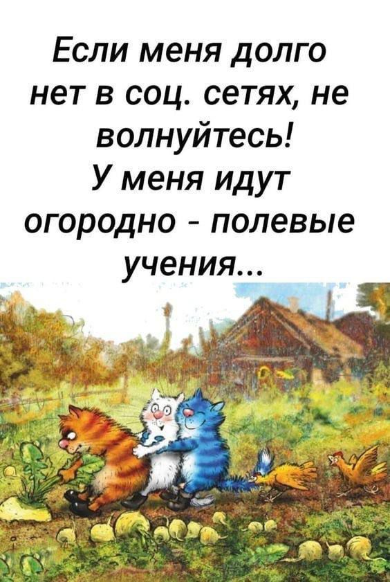 Если меня долго нет в соц сетях не волнуйтесь У меня идут огородно полевые учения _ _
